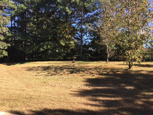 1117 E Shoreview Rd, Mcdonough, GA 30253 photo 15
