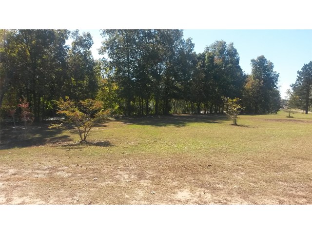 1377 Hwy 36 E, Jackson, GA 30233 photo 2