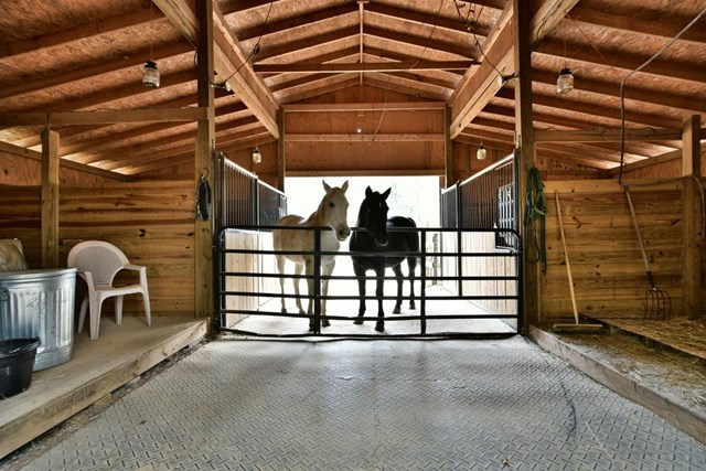 13 Percheron Trl, White, GA 30184 photo 24
