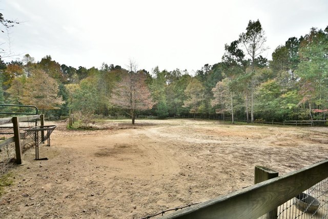 13 Percheron Trl, White, GA 30184 photo 25