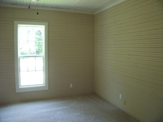 291 Nathan Thaxton Rd, Jackson, GA 30233 photo 14