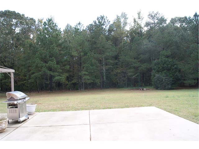 107 Thorne Hedge Way, Hampton, GA 30228 photo 2