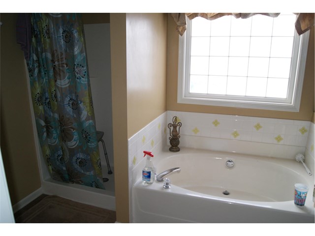 107 Thorne Hedge Way, Hampton, GA 30228 photo 8