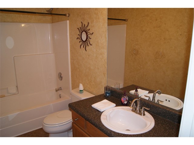 107 Thorne Hedge Way, Hampton, GA 30228 photo 10