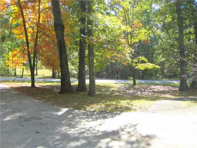  417 Adonald Rd, Canton, GA 30114 photo 9