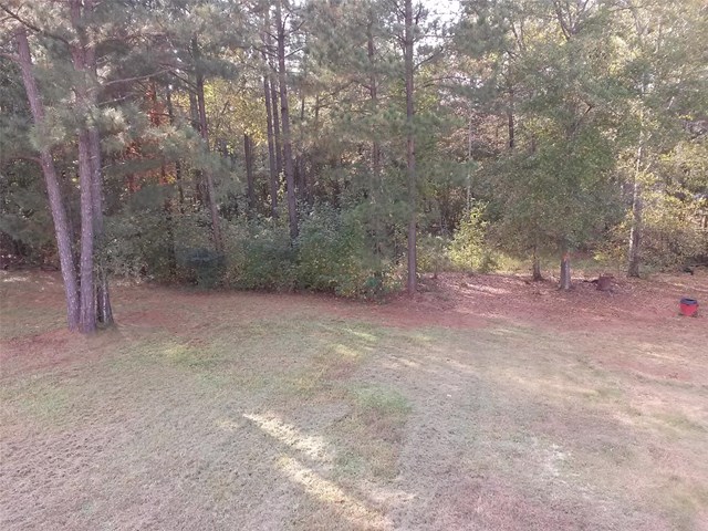 95 Arthurs Ln, Covington, GA 30016 photo 22