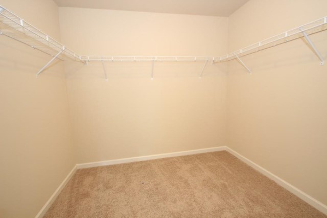 337 Mango Ct, Mcdonough, GA 30253 photo 15