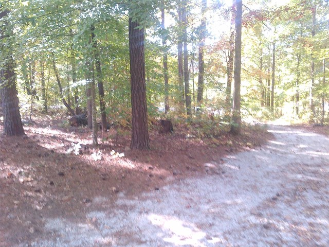 2329 Mcgarity Rd, Temple, GA 30179 photo 2
