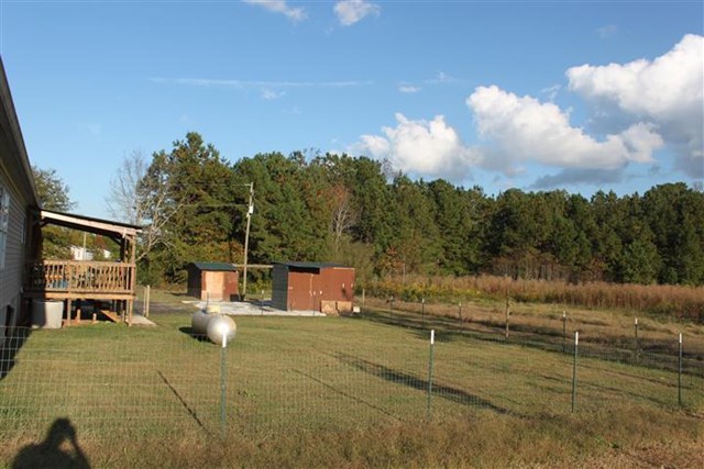 2945 Tommy Dillard Rd, Monroe, GA 30656 photo 11