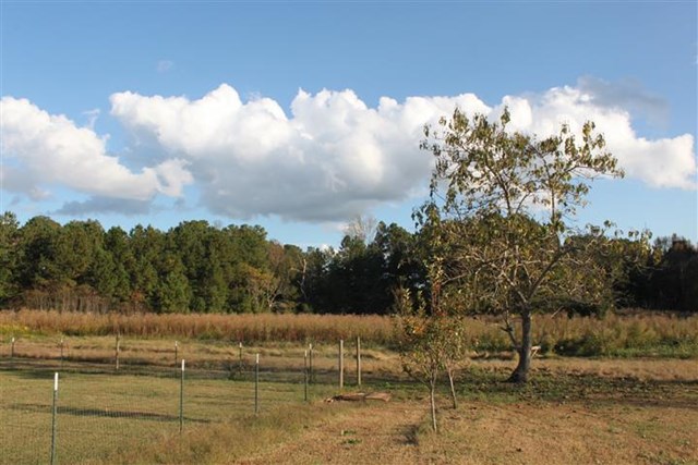 2945 Tommy Dillard Rd, Monroe, GA 30656 photo 10