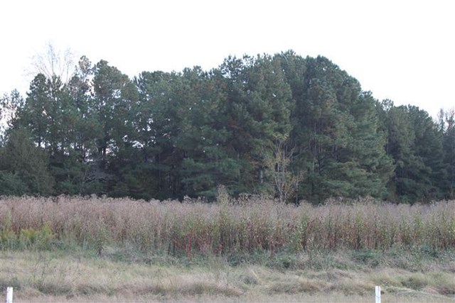 2945 Tommy Dillard Rd, Monroe, GA 30656 photo 16