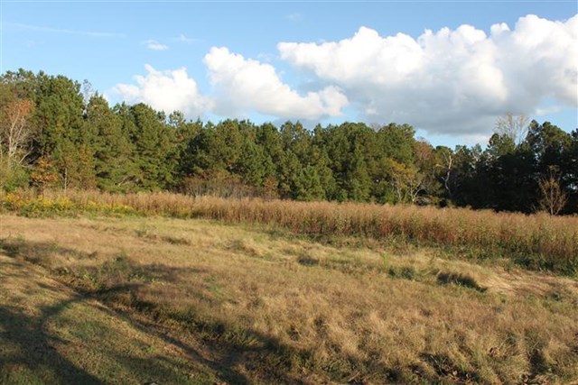 2945 Tommy Dillard Rd, Monroe, GA 30656 photo 12