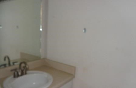 10728 Misty Meadows Ct, Hampton, GA 30228 photo 4