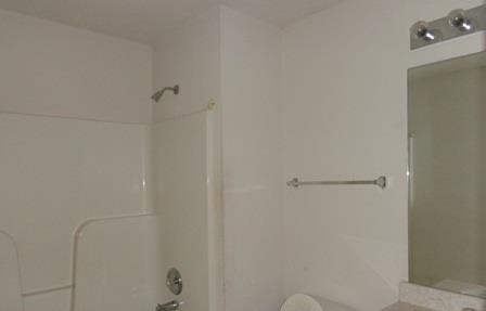10728 Misty Meadows Ct, Hampton, GA 30228 photo 10