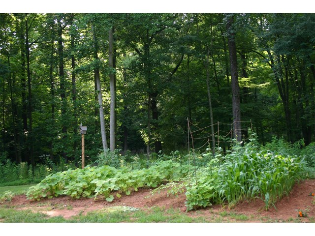 8475 Staton Rd, Clermont, GA 30527 photo 21