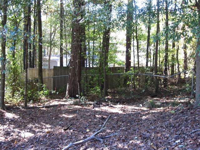 2790 Blarney Way, Duluth, GA 30096 photo 10