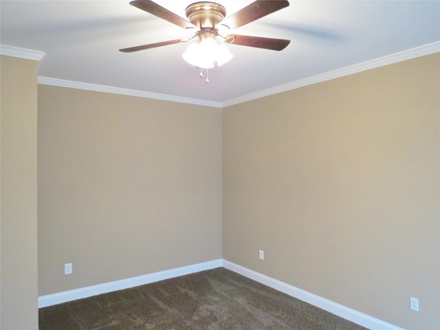 273 Hedgewood Dr, Hampton, GA 30228 photo 13