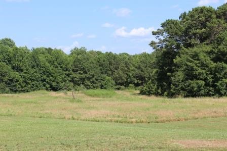 700 King Rd, Forsyth, GA 31029 photo 22