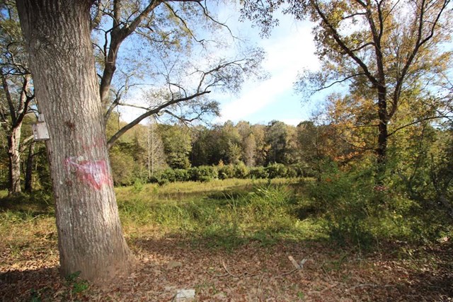 309 Teaver Rd, Lagrange, GA 30240 photo 17