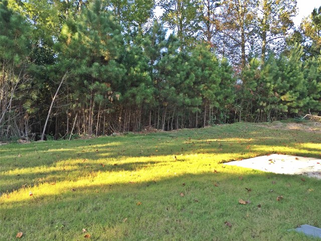 7561 Bowhead Ct, Fairburn, GA 30213 photo 19