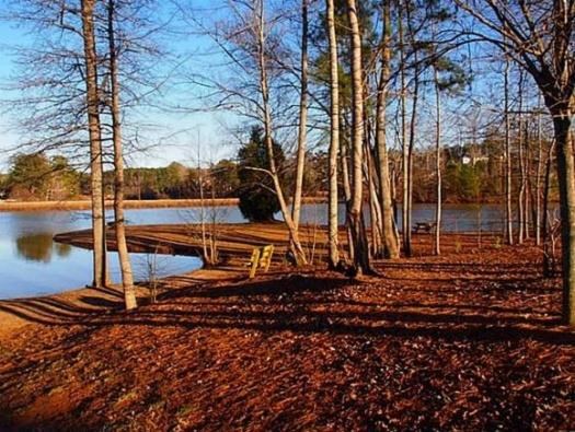 8043 Stillmist Dr, Fairburn, GA 30213 photo 4