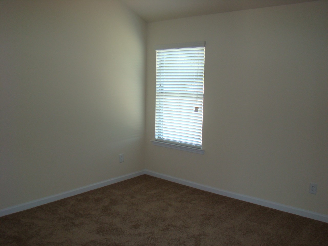 214 Sleepy Way, Canton, GA 30114 photo 13
