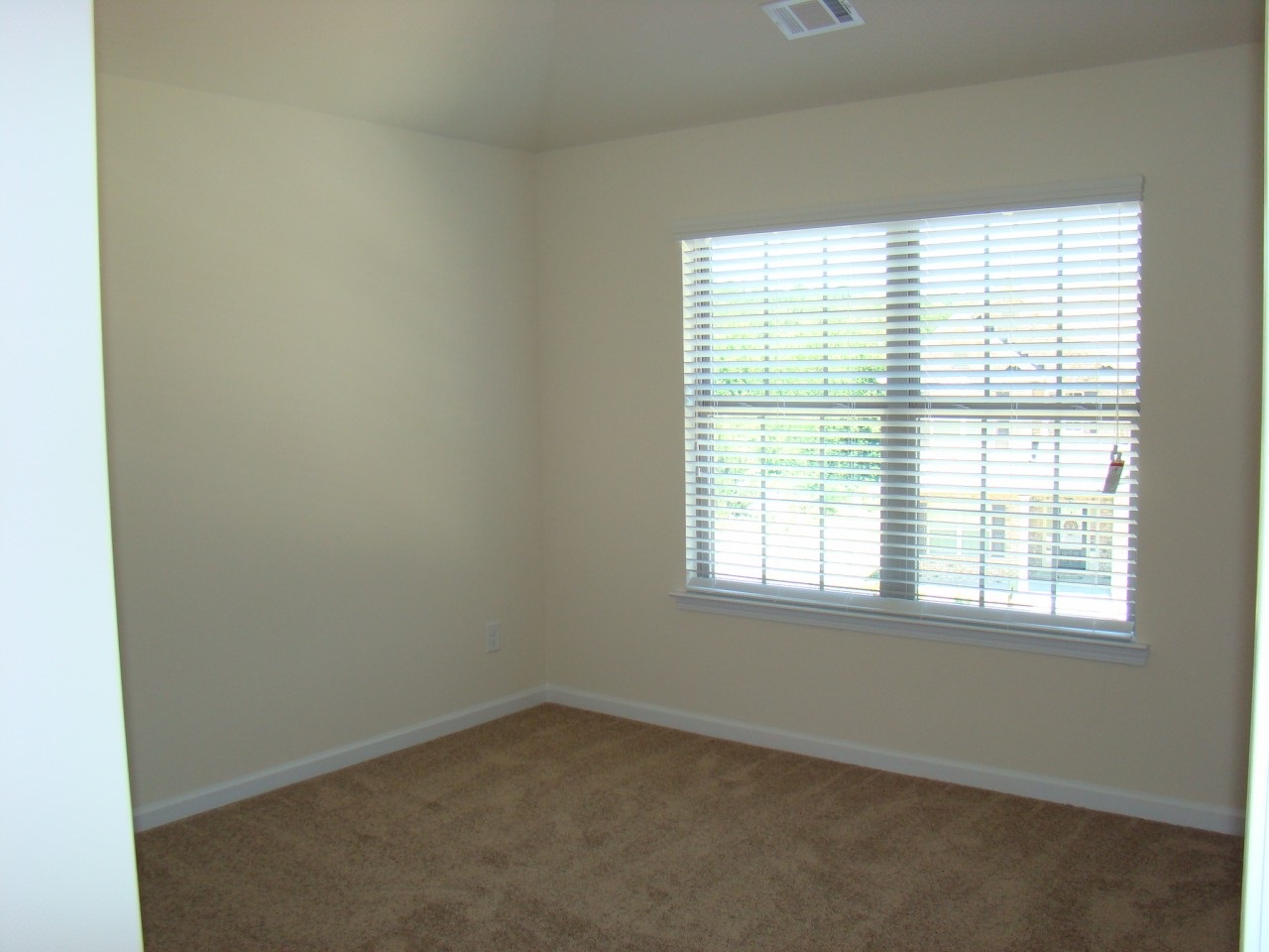 214 Sleepy Way, Canton, GA 30114 photo 11