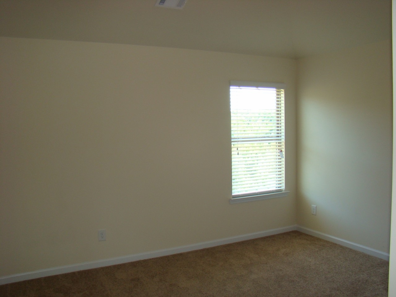 214 Sleepy Way, Canton, GA 30114 photo 12