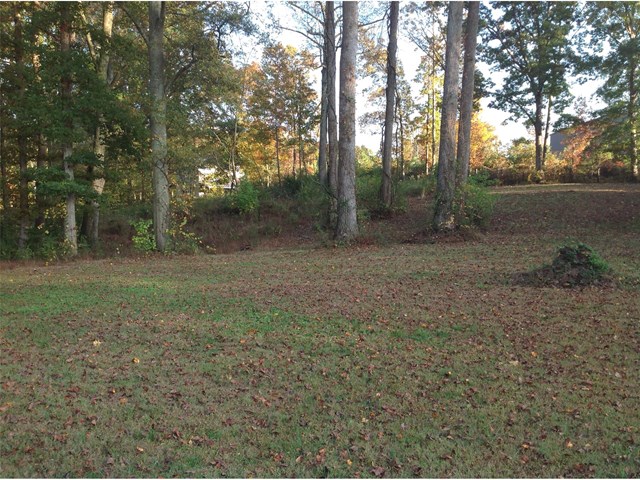 375 Rainey Rd, Temple, GA 30179 photo 24