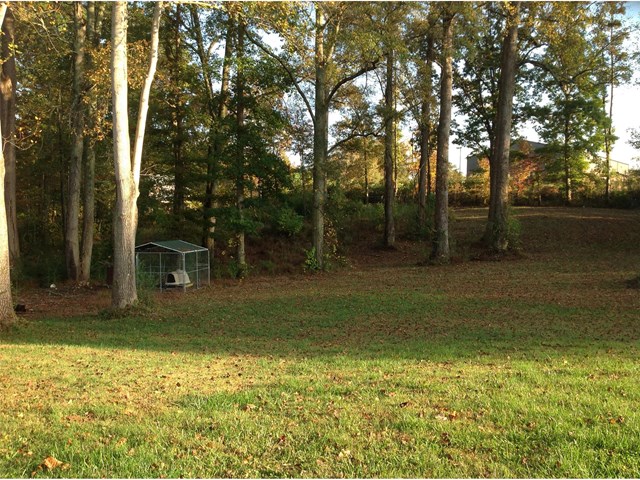 375 Rainey Rd, Temple, GA 30179 photo 22