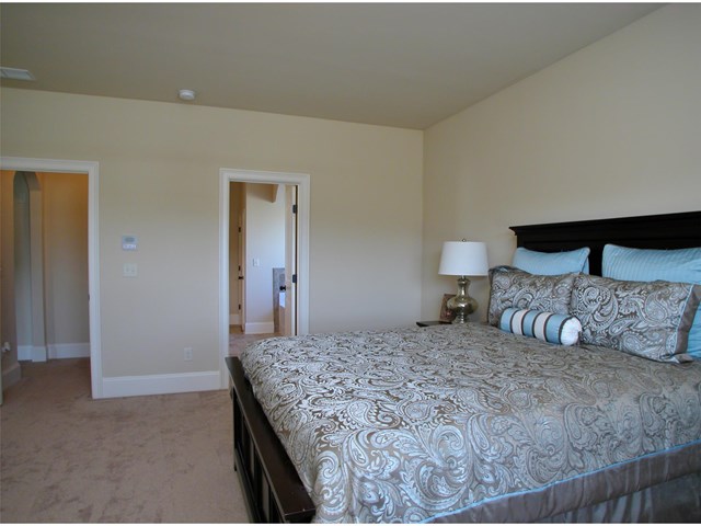 272 Oatgrass Dr, Grayson, GA 30017 photo 20