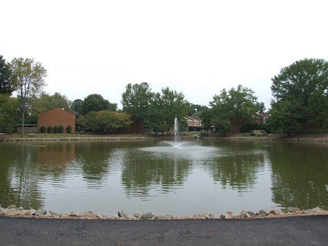 3514 Nutmeg Dr, Duluth, GA 30096 photo 20