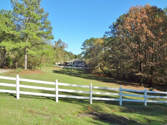 12384 Alcovy Rd, Covington, GA 30014 photo 2