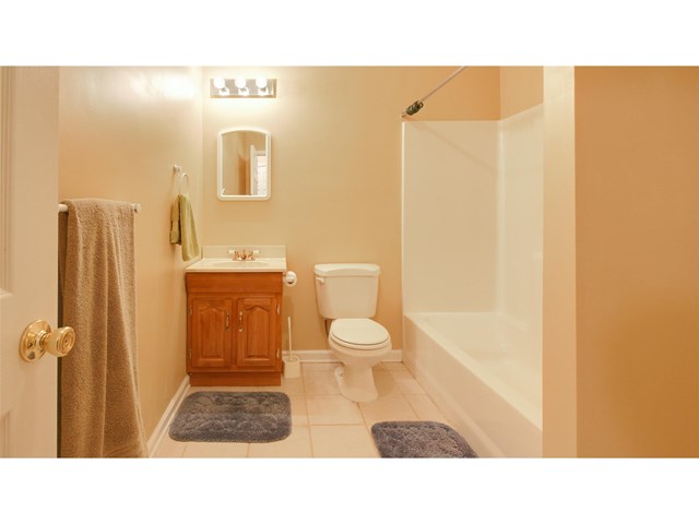 3642 Brookefall Ct, Suwanee, GA 30024 photo 23