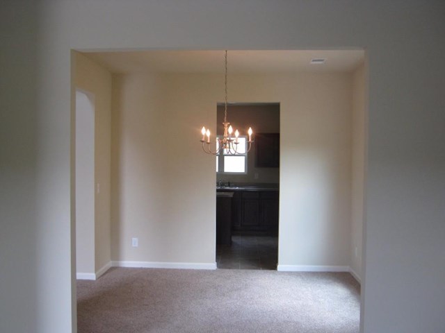 1132 Lehavre Ct, Hampton, GA 30228 photo 16