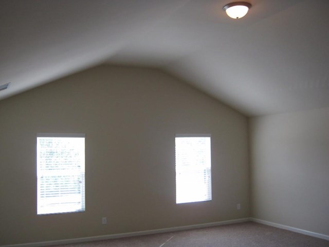 1132 Lehavre Ct, Hampton, GA 30228 photo 19