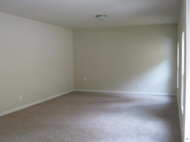 1132 Lehavre Ct, Hampton, GA 30228 photo 23