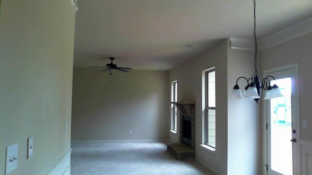 1132 Lehavre Ct, Hampton, GA 30228 photo 13