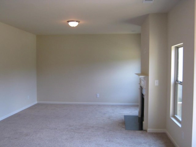 1132 Lehavre Ct, Hampton, GA 30228 photo 18
