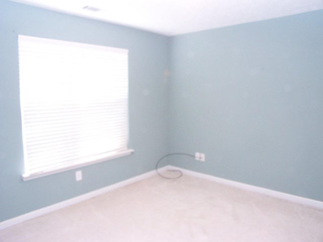 2495 Turtle Ter, Grayson, GA 30017 photo 15