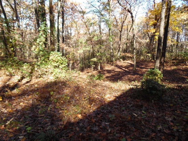 458 Mulkey Rd, Toccoa, GA 30577 photo 25