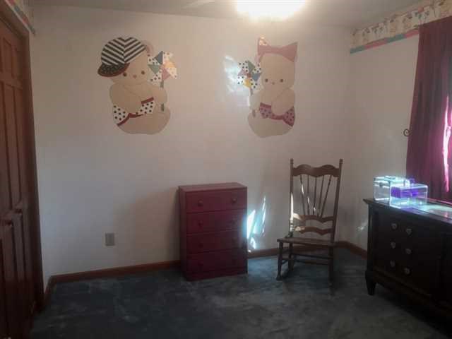 2959 Wildrose Ct, Hampton, GA 30228 photo 18