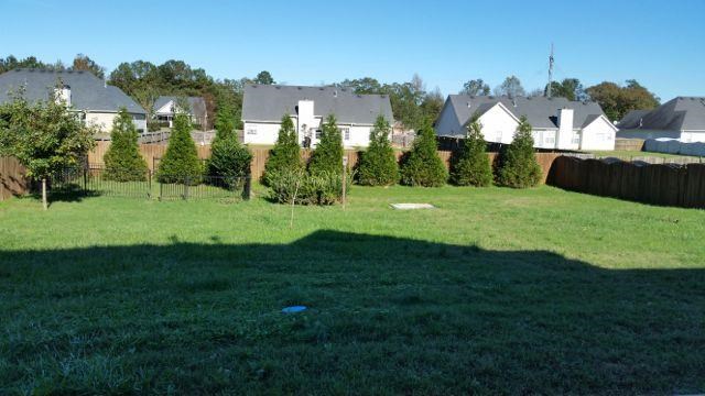 50 Windpher Rdg, Hampton, GA 30228 photo 3