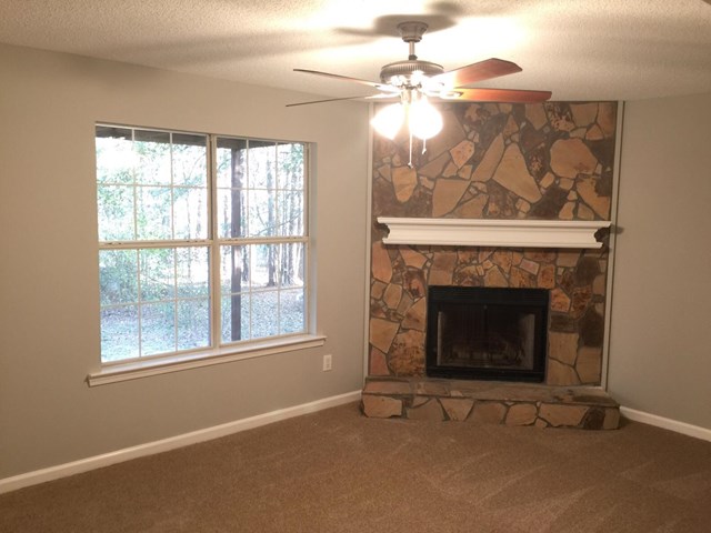 1246 Crystal Springs Trl, Hampton, GA 30228 photo 23