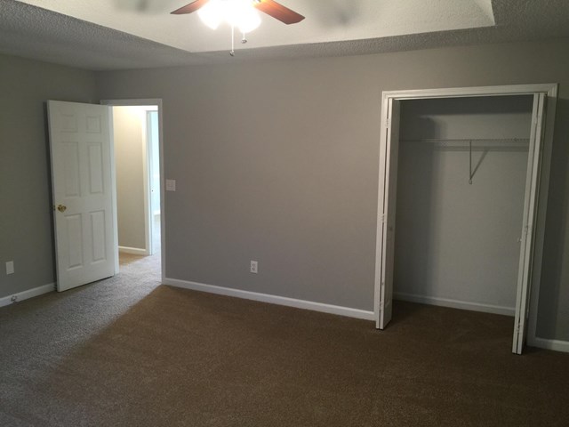 1246 Crystal Springs Trl, Hampton, GA 30228 photo 19