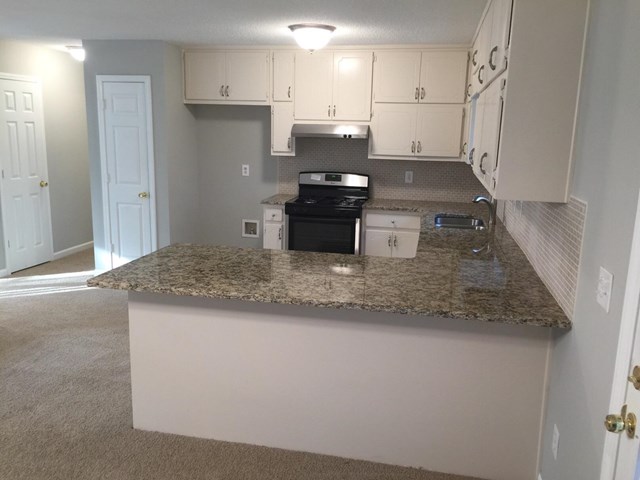 1246 Crystal Springs Trl, Hampton, GA 30228 photo 12