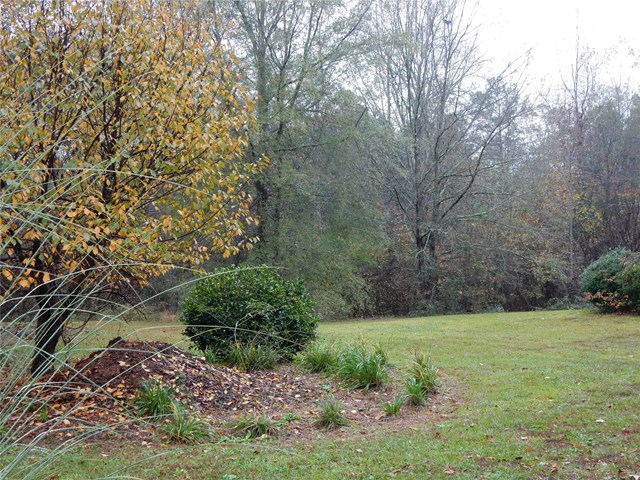 204 Fenner Rd, Jackson, GA 30233 photo 18