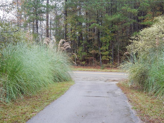 204 Fenner Rd, Jackson, GA 30233 photo 21