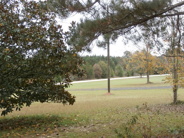 1114 S Hampton Rd, Hampton, GA 30228 photo 20