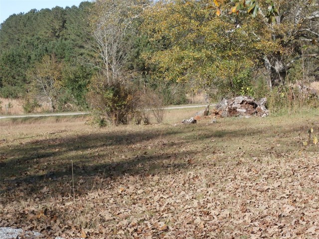 1114 S Hampton Rd, Hampton, GA 30228 photo 16